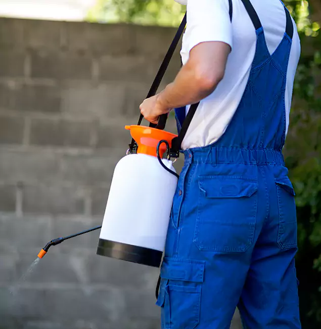 Why Arlington Pest Control Pro Delivers the Best Mosquito Control in Arlington, VA?