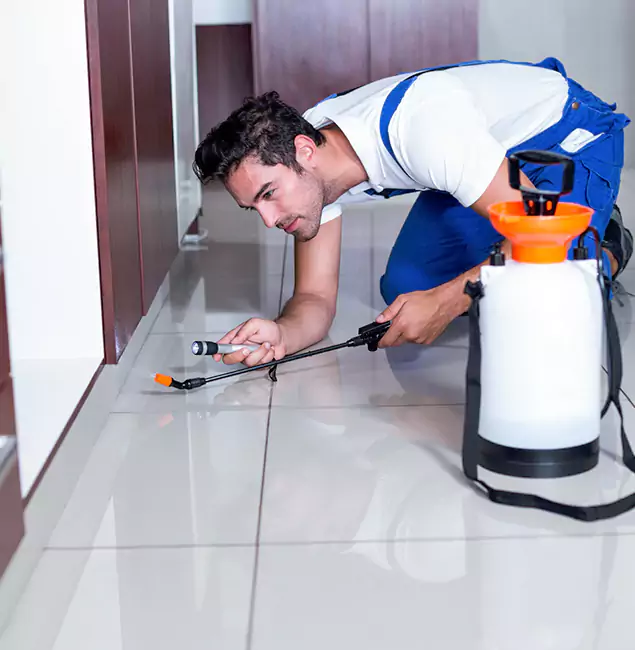 Why Arlington Pest Control Pro Is the Proven Choice in Arlington, VA?