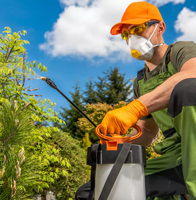 Why Choose Arlington Pest Control Pro for Outdoor Pest Control in Arlington, VA?
