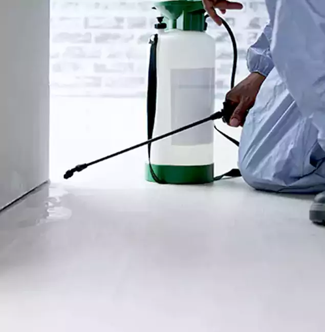 Why Choose Arlington Pest Control Pro for Rat Exterminator in Arlington, VA?