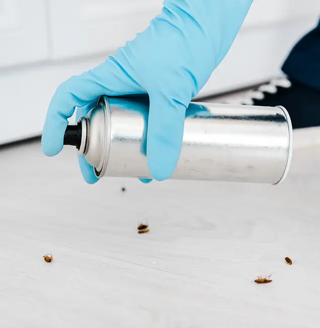 Why Choose Arlington Pest Control Pro for Safe Bed Bug Treatment in Arlington, VA?