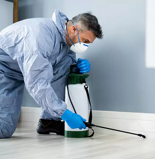 Why Choose Arlington Pest Control Pro for Subterranean Termites Treatment in Arlington, VA?