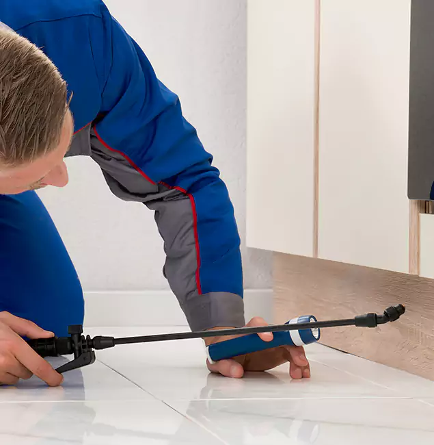 Why Arlington Residents Choose Arlington Pest Control Pro to Get Rid of Sugar Ants?