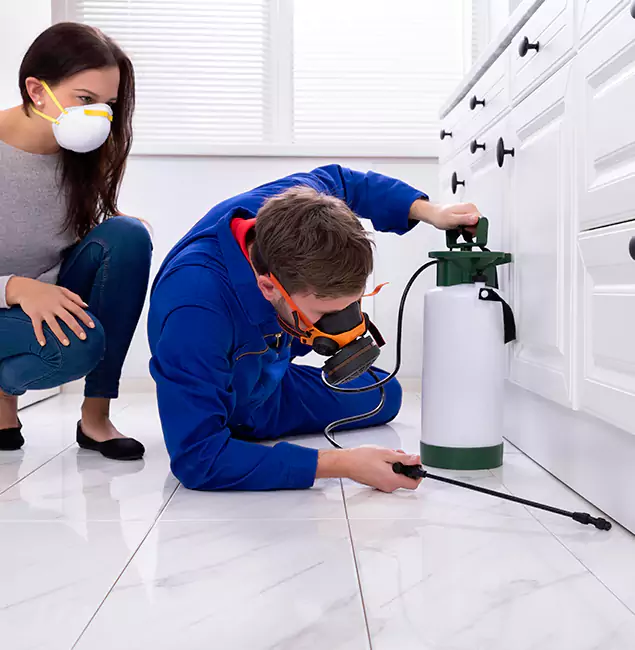 Why Choose Arlington Pest Control Pro for Termite Inspection Cost in Arlington, VA?