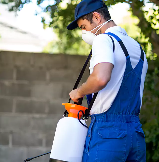 Why Arlington Pest Control Pro Is the Right Choice for Yellow Jacket Removal in Arlington, VA?