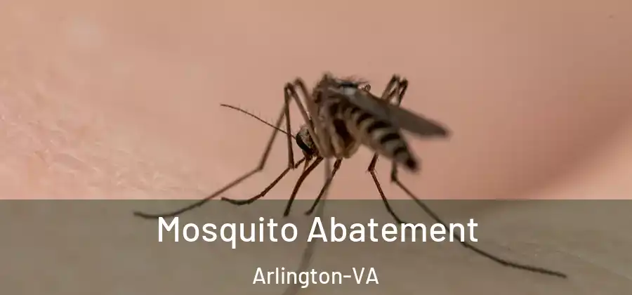  Mosquito Abatement Arlington-VA