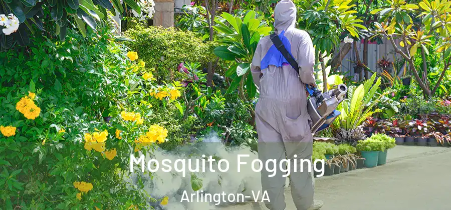  Mosquito Fogging Arlington-VA