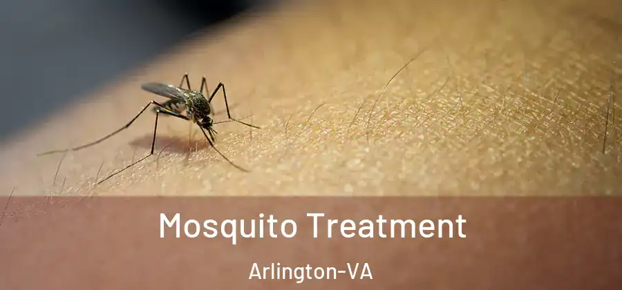  Mosquito Treatment Arlington-VA