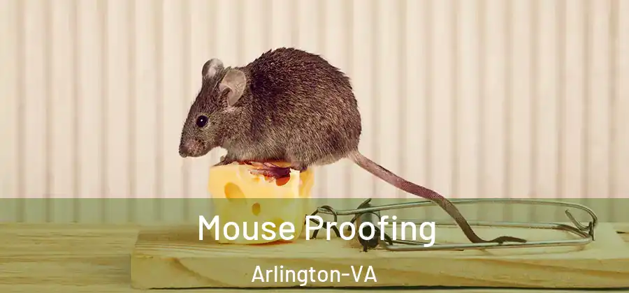  Mouse Proofing Arlington-VA