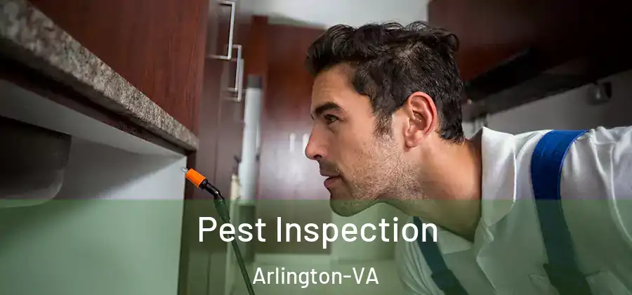  Pest Inspection Arlington-VA