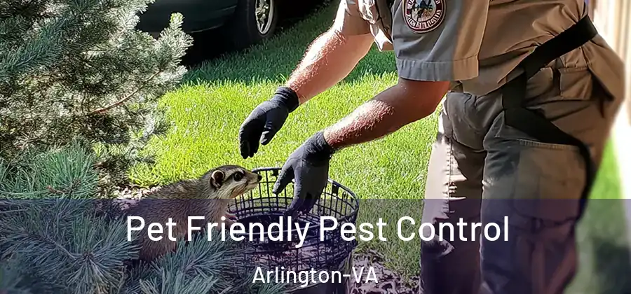 Pet Friendly Pest Control Arlington-VA