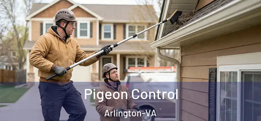  Pigeon Control Arlington-VA