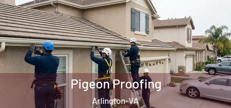 Pigeon Proofing Arlington-VA
