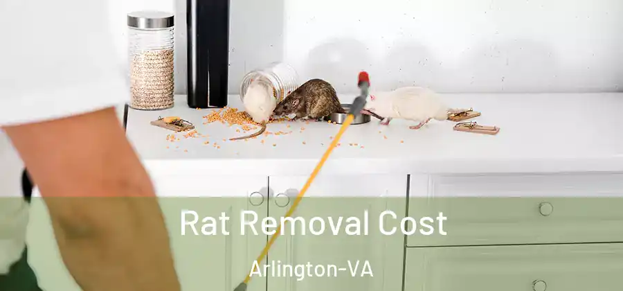  Rat Removal Cost Arlington-VA