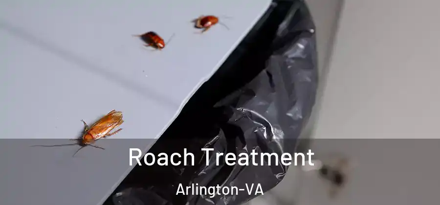  Roach Treatment Arlington-VA