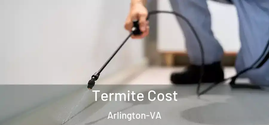  Termite Cost Arlington-VA