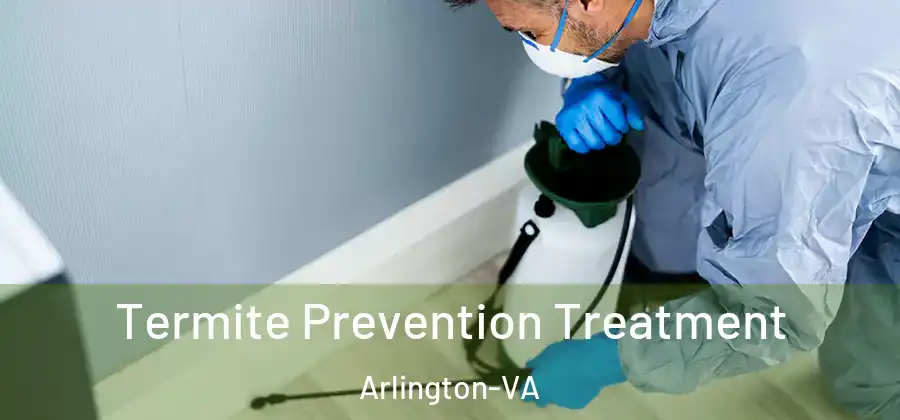  Termite Prevention Treatment Arlington-VA