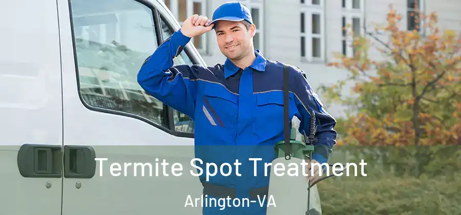  Termite Spot Treatment Arlington-VA