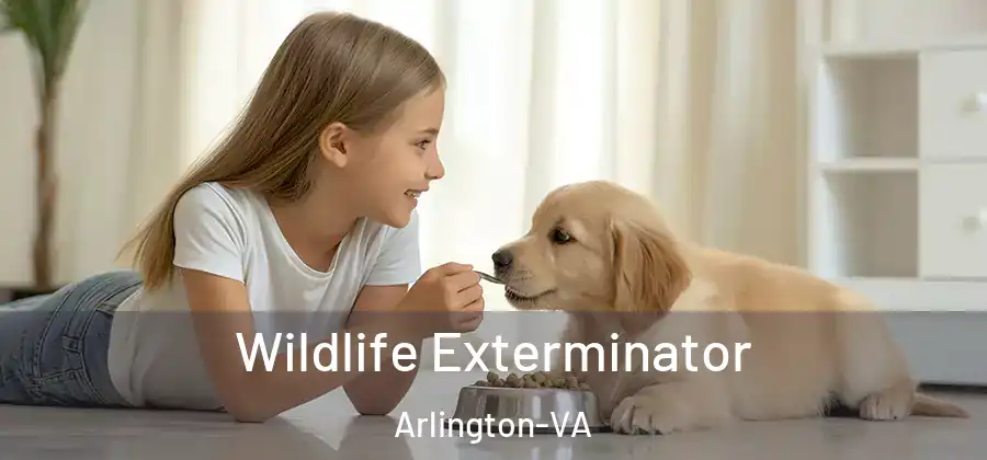  Wildlife Exterminator Arlington-VA