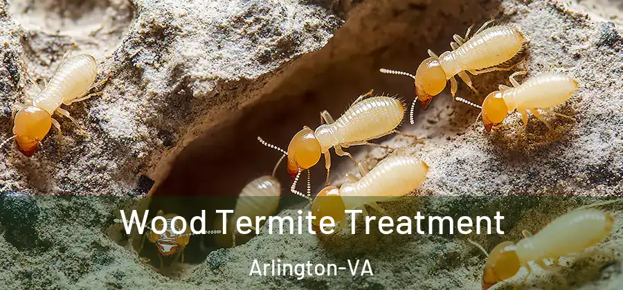  Wood Termite Treatment Arlington-VA